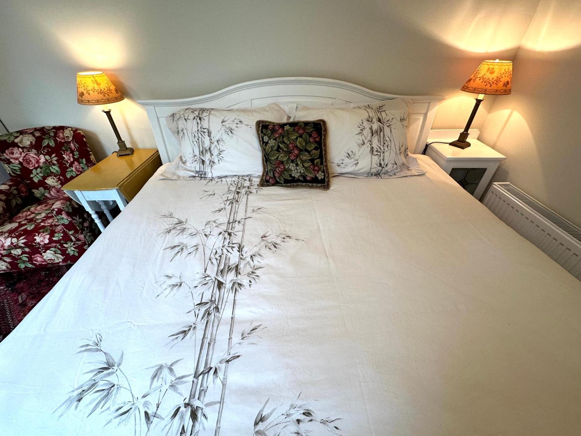 Garden Snug Apartment Belfast Ngoại thất bức ảnh